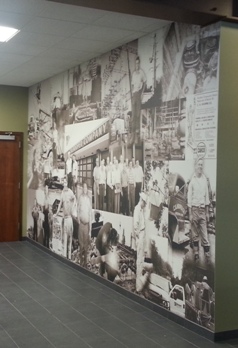 Wall Graphics from Ryan Signs